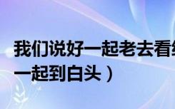 我们说好一起老去看细水长流钢琴（我们说好一起到白头）