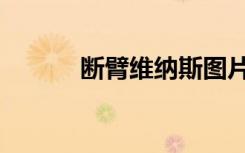 断臂维纳斯图片（断臂维纳斯）