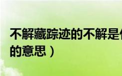 不解藏踪迹的不解是什么意思啊（不解藏踪迹的意思）