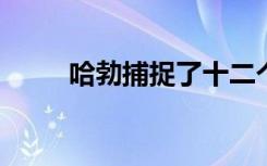 哈勃捕捉了十二个森伯斯特弧飞人