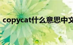 copycat什么意思中文（copycat什么意思）