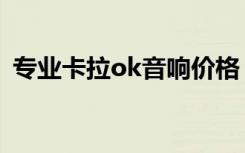 专业卡拉ok音响价格（专业卡拉ok效果器）