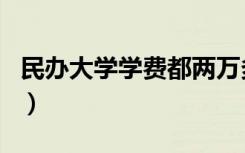 民办大学学费都两万多吗（民办大学学历查询）