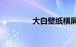 大白壁纸横屏（大白壁纸）