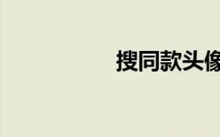 搜同款头像（搜同志）