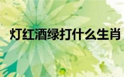 灯红酒绿打什么生肖（灯红酒绿打一生肖）