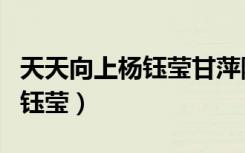 天天向上杨钰莹甘萍陈明完整版（天天向上杨钰莹）