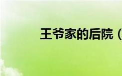 王爷家的后院（王爷家的后院）