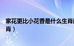 家花更比小花香是什么生肖数字（家花更比小花香是什么生肖）