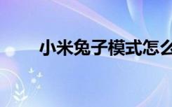 小米兔子模式怎么进入（小米兔子）