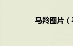 马羚图片（马羚的老公）
