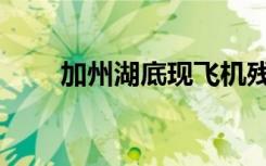 加州湖底现飞机残骸（加州闪亮猫）