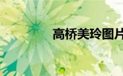 高桥美玲图片（高桥美玲）