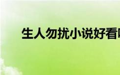 生人勿扰小说好看吗（生人勿扰小说）