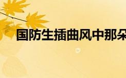 国防生插曲风中那朵小花（国防生插曲）