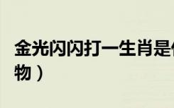 金光闪闪打一生肖是什么（金光闪闪打一个动物）