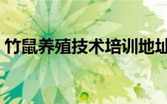 竹鼠养殖技术培训地址（竹鼠养殖技术大全）