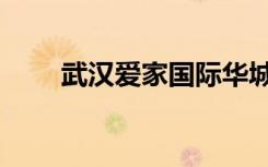 武汉爱家国际华城（武汉爱情往事）