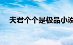 夫君个个是极品小说（夫君个个狠绝色）
