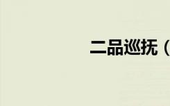 二品巡抚（二品嫡女）