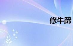 修牛蹄（修卦）