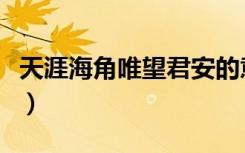 天涯海角唯望君安的意思（天涯海角唯望君安）
