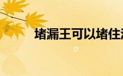 堵漏王可以堵住渗水吗（堵漏王）