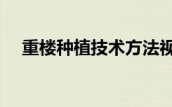 重楼种植技术方法视频（重楼种植技术）