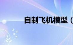 自制飞机模型（自制飞机模型）