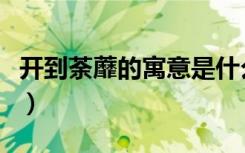 开到荼蘼的寓意是什么（开到荼蘼是什么意思）