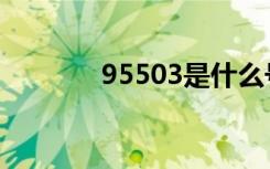 95503是什么号码（95503）