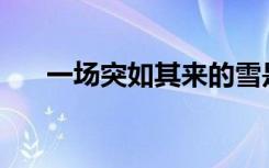 一场突如其来的雪是什么歌如此纯净？