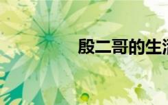 殷二哥的生活（殷 二蛇）