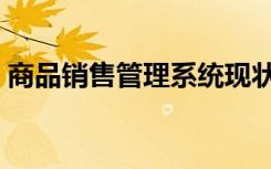 商品销售管理系统现状（商品销售管理系统）