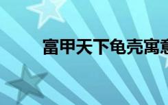 富甲天下龟壳寓意（富甲天下2 3）