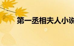 第一丞相夫人小说（第一丞相夫人）