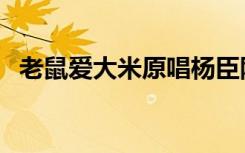 老鼠爱大米原唱杨臣刚（老鼠爱大米原唱）