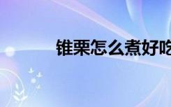 锥栗怎么煮好吃又好剥（锥栗）