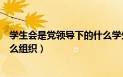 学生会是党领导下的什么学生组织（学生会是党领导下的什么组织）