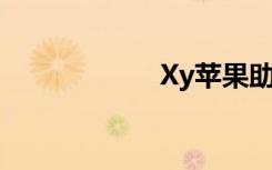 Xy苹果助手ipad版