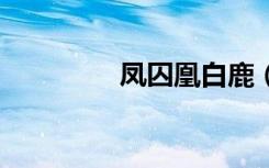 凤囚凰白鹿（凤囚凰cos）
