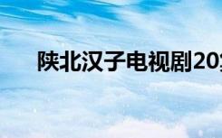 陕北汉子电视剧20集（陕北汉子全集）