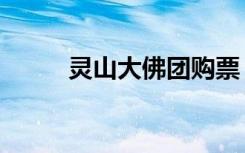 灵山大佛团购票（灵山大佛团购）