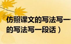 仿照课文的写法写一个观点500字（仿照课文的写法写一段话）