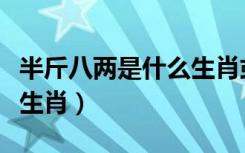 半斤八两是什么生肖或数字（半斤八两是什么生肖）