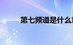 第七频道是什么意思（第七频道）