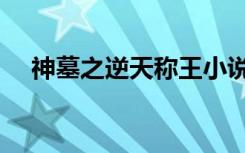 神墓之逆天称王小说（神墓之逆天称王）
