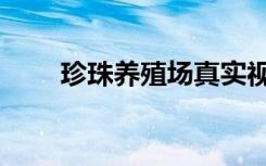 珍珠养殖场真实视频（珍珠养殖场）