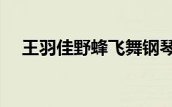 王羽佳野蜂飞舞钢琴（王羽佳野蜂飞舞）