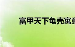 富甲天下龟壳寓意（富甲天下2 3）